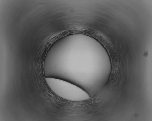 X0000097770773200803070900