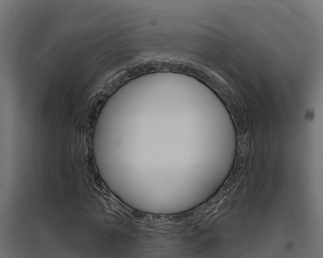 X0000097770774200803070900