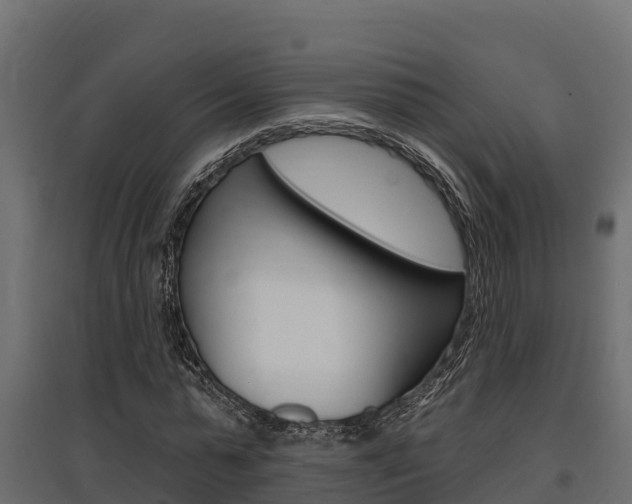 X0000097770775200803070900