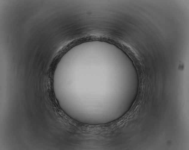 X0000097770776200803070900