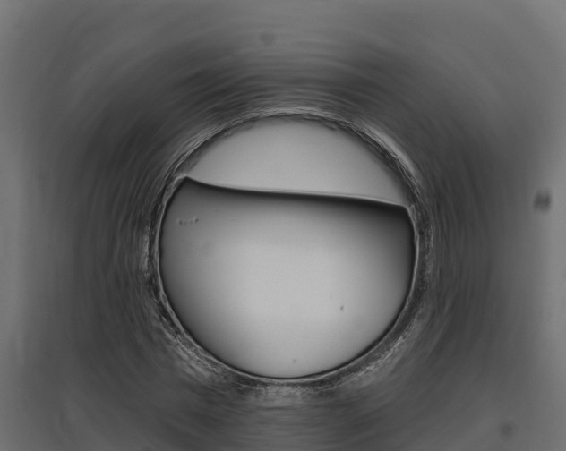 X0000097770777200803070900