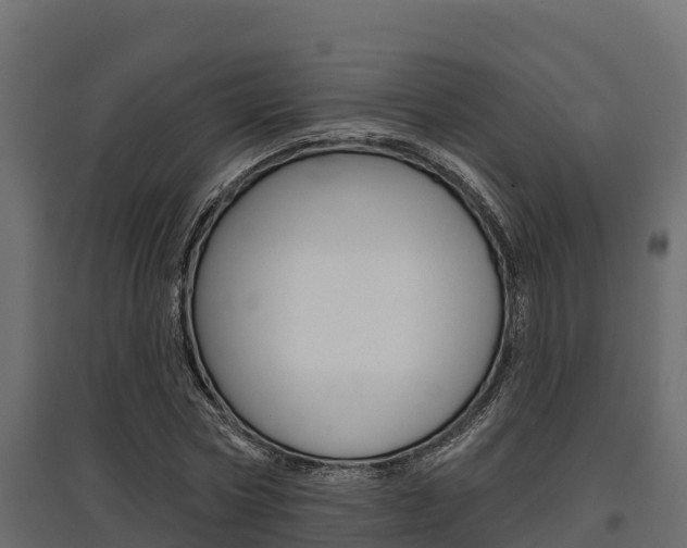 X0000097770778200803070900