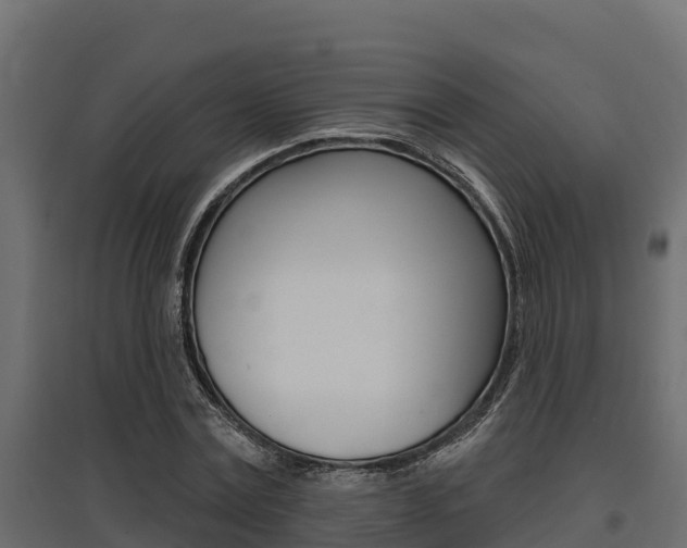 X0000097770779200803070900