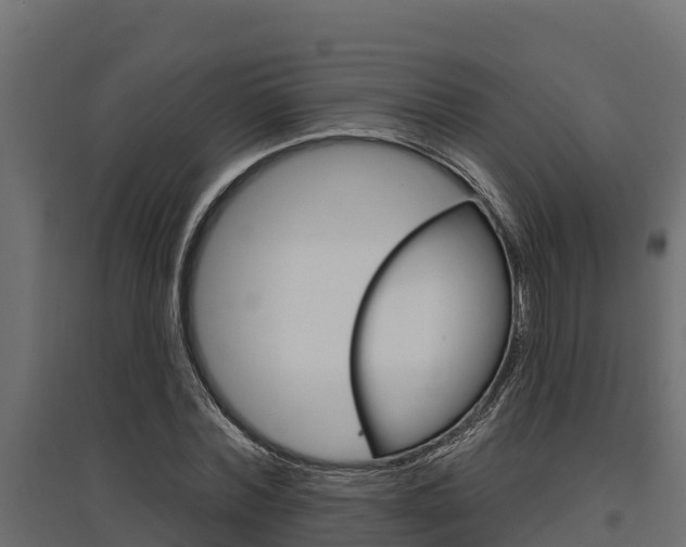 X0000097770780200803070900
