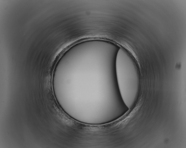 X0000097770781200803070900