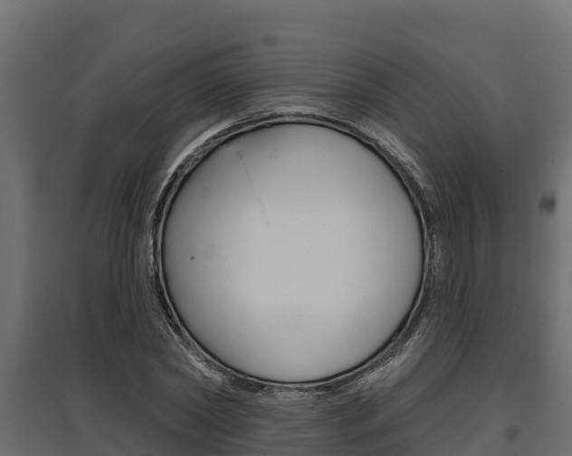 X0000097770782200803070900