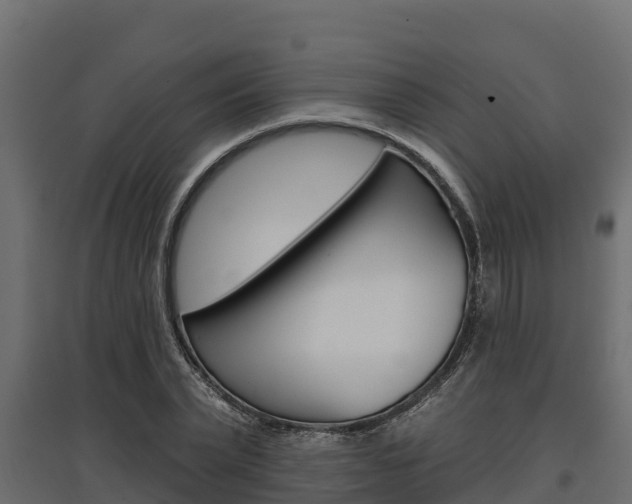 X0000097770783200803070900