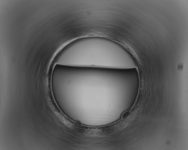 X0000097770784200803070900
