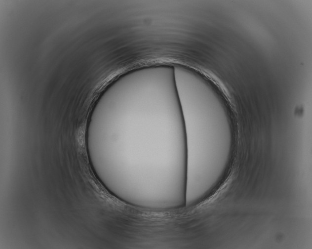 X0000097770785200803070900