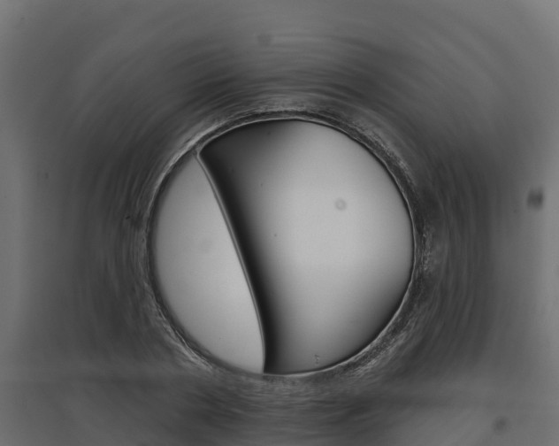 X0000097770786200803070900
