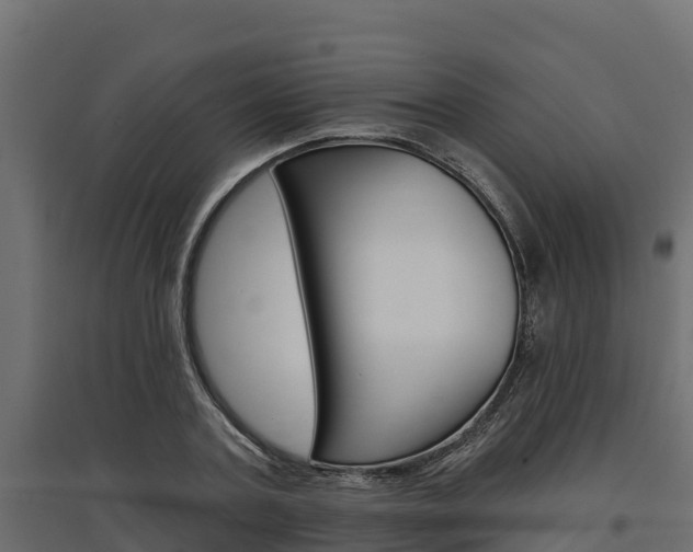 X0000097770787200803070859