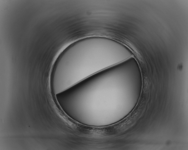 X0000097770788200803070859