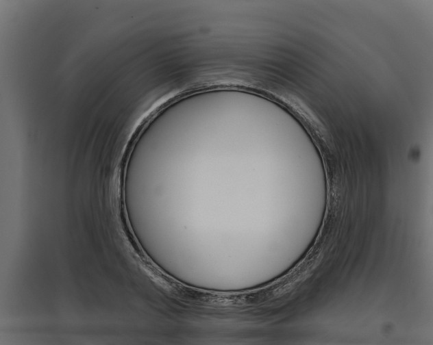 X0000097770790200803070859