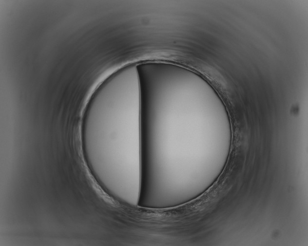 X0000097770792200803070859