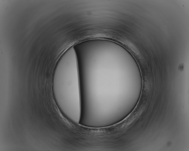 X0000097770793200803070859