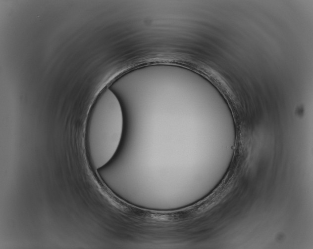 X0000097770794200803070859