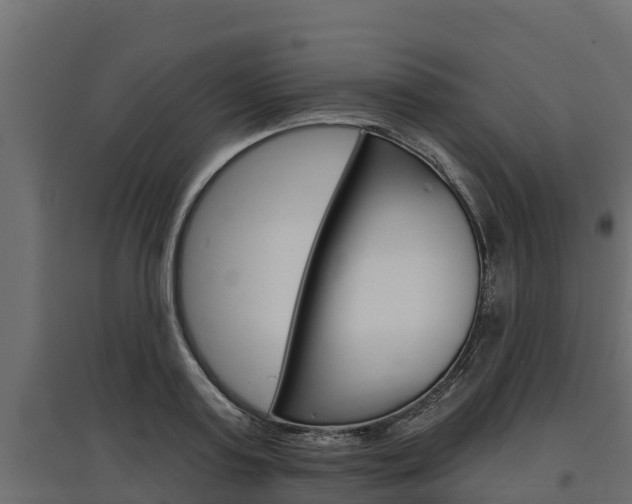 X0000097770795200803070859