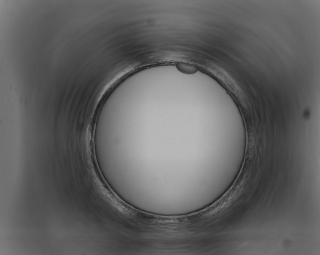 X0000097770798200803070859