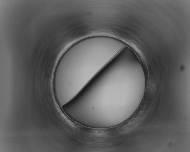 X0000097770799200803070859