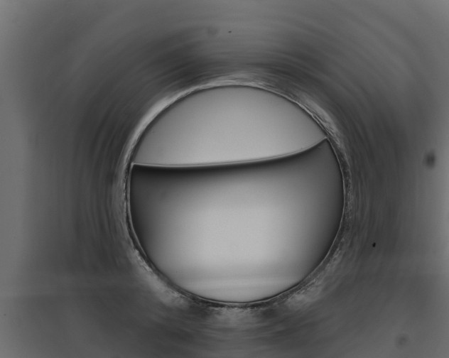 X0000097770800200803070859