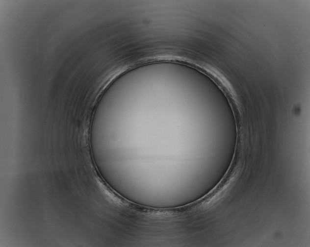 X0000097770801200803070859