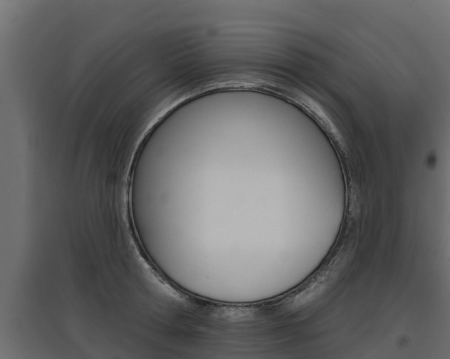 X0000097770802200803070859