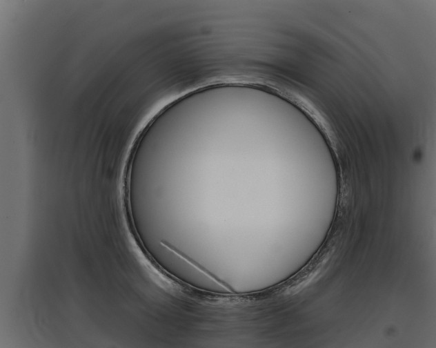X0000097770803200803070859