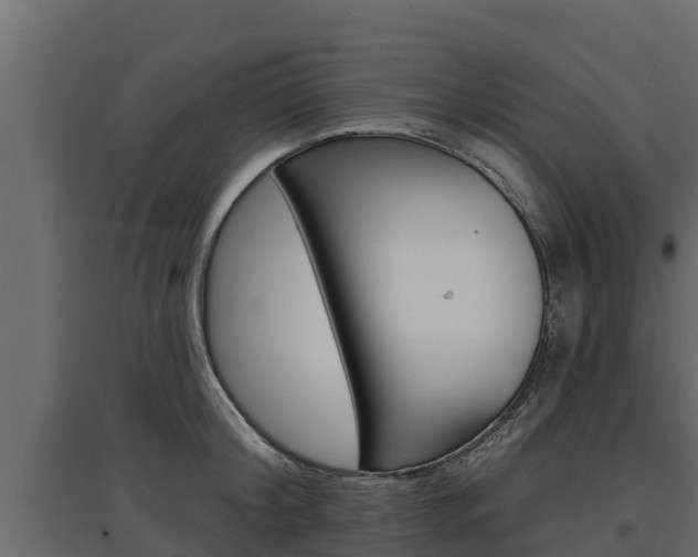 X0000097770804200803070859