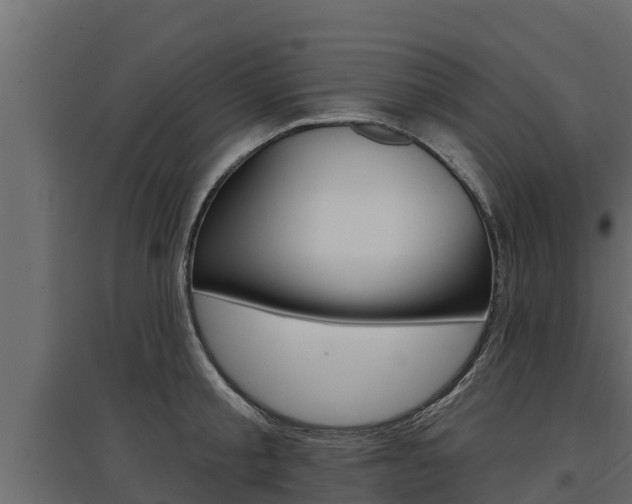 X0000097770805200803070859