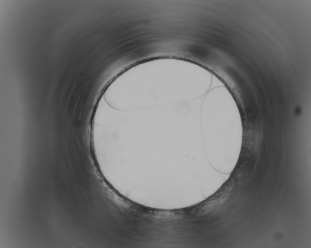 X0000097770807200803070859