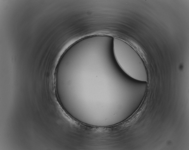 X0000097770808200803070859