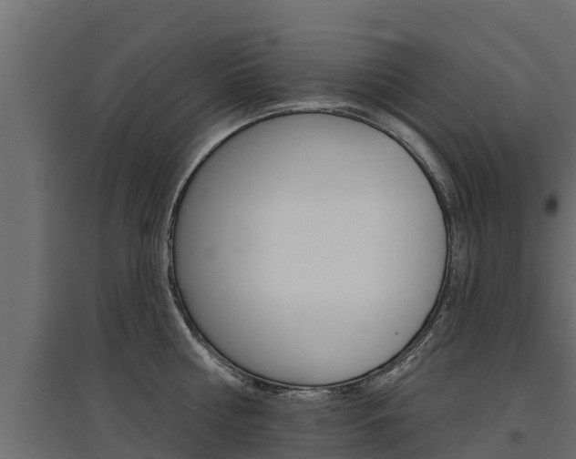 X0000097770810200803070859