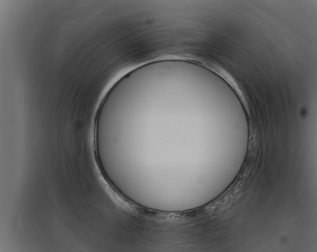 X0000097770811200803070859