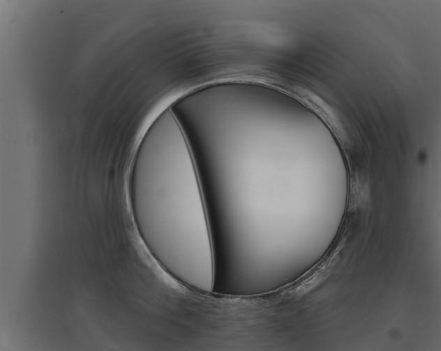 X0000097770812200803070859