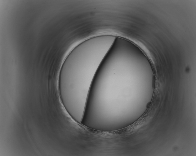 X0000097770815200803070859