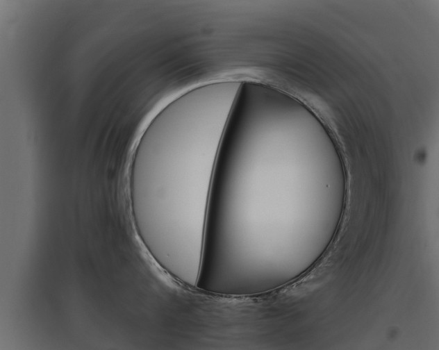 X0000097770816200803070859
