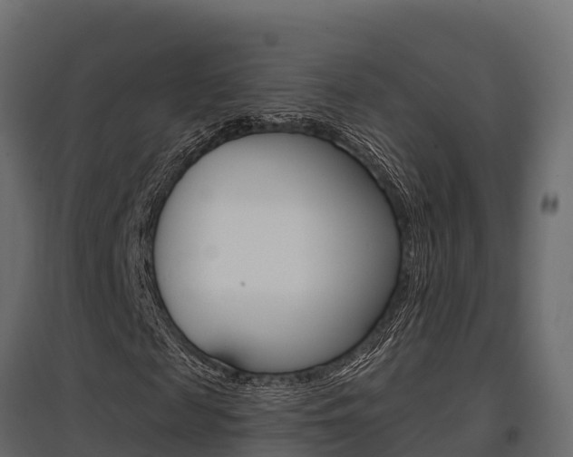 X0000097770817200803070858