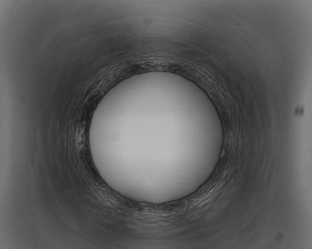 X0000097770818200803070858