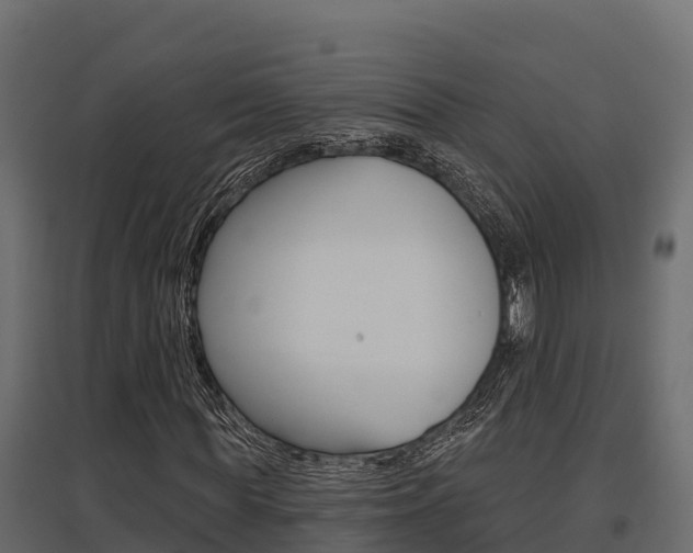 X0000097770819200803070858