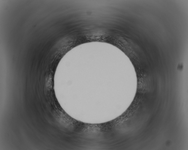 X0000097770820200803070858