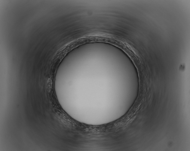 X0000097770821200803070858