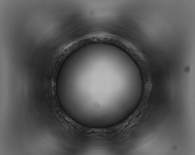 X0000097770822200803070858