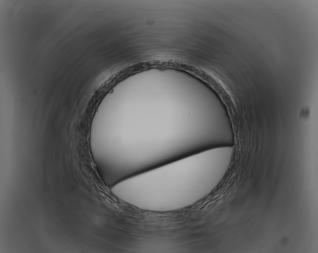 X0000097770823200803070858