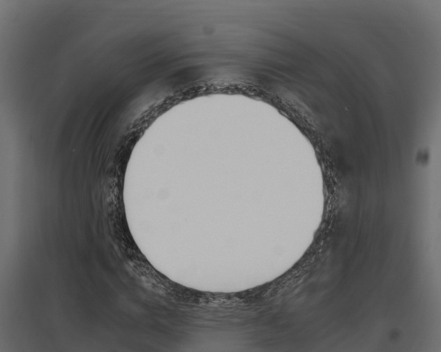 X0000097770824200803070859