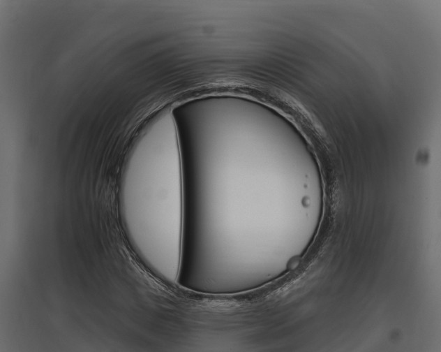 X0000097770825200803070859