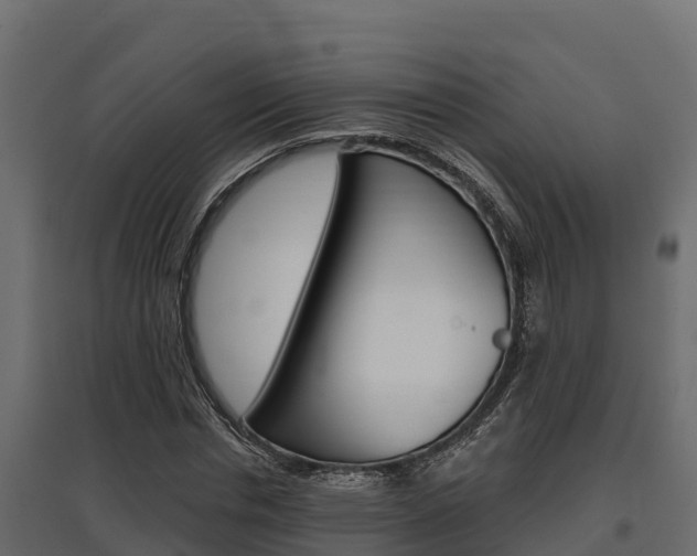 X0000097770826200803070859