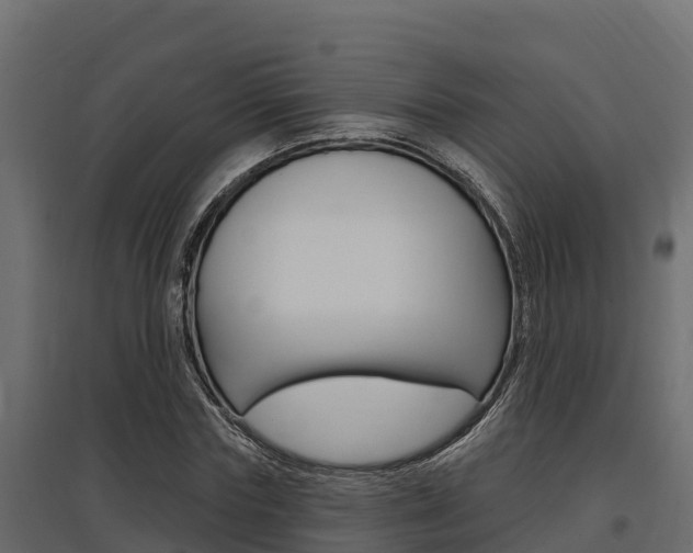 X0000097770827200803070859