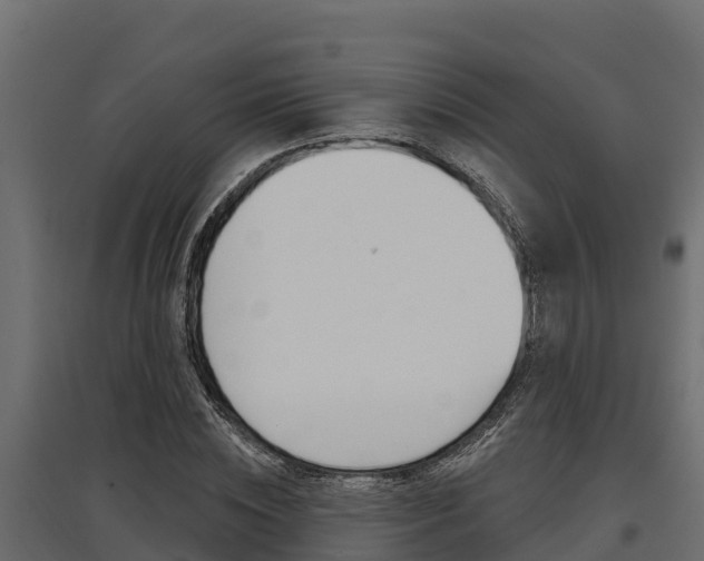 X0000097770828200803070859