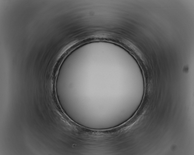 X0000097770829200803070859