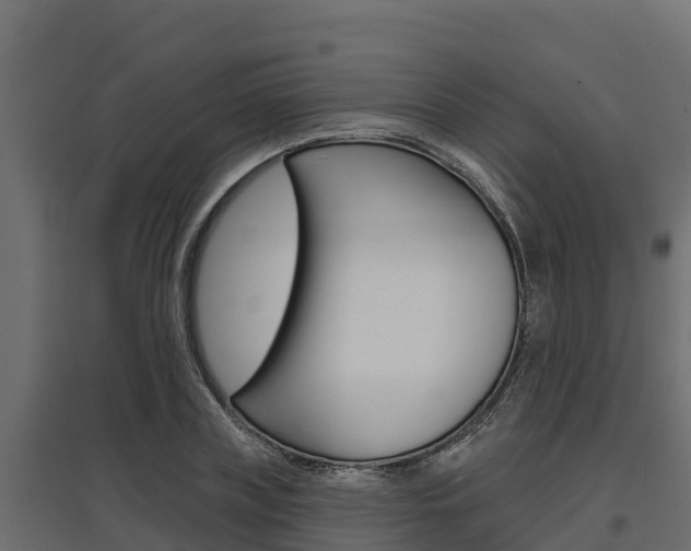 X0000097770835200803070859